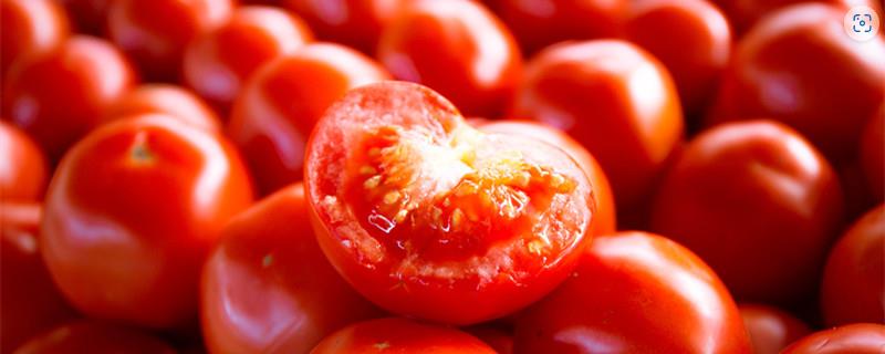 夏季如何储存西红柿，成熟的西红柿建议冷藏