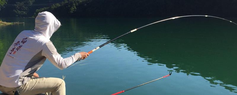 台钓鲢鳙鱼的方法，可选择溶氧量较高的水域作为钓点