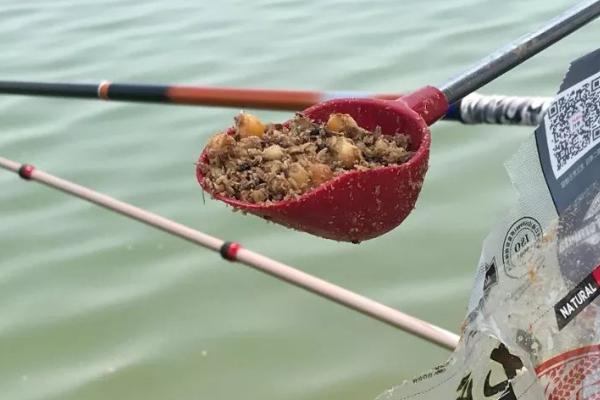 野钓鲶鱼技巧，夏季和初秋是最佳时间