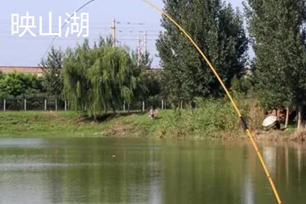 有哪些性价比较高的8.1米鱼竿，包括螺纹钢和霸王悍等经典品牌