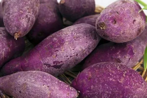 紫薯的价格，各地区的价格不一样