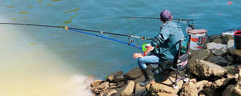 初夏怎么钓鱼，具有水草、深度为1-2米的水域可作为首选钓点