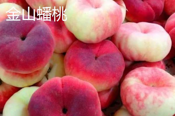 蟠桃和油蟠桃的区别，油蟠桃果皮光滑容易清洗