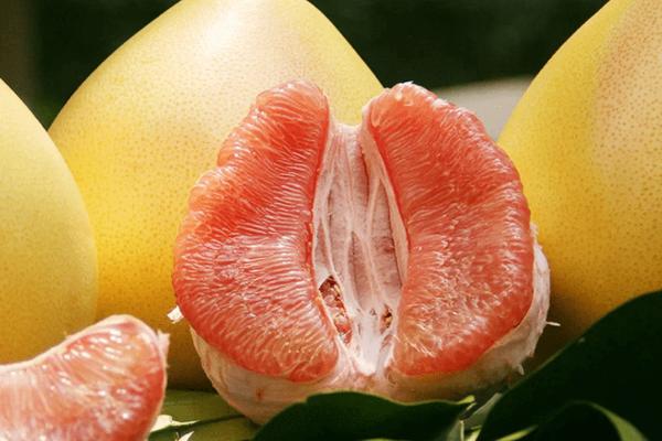 柚子何时成熟上市，一般集中在10-11月份
