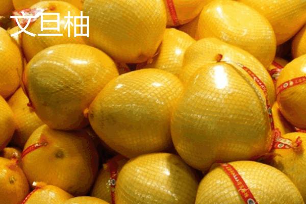 柚子何时成熟上市，一般集中在10-11月份