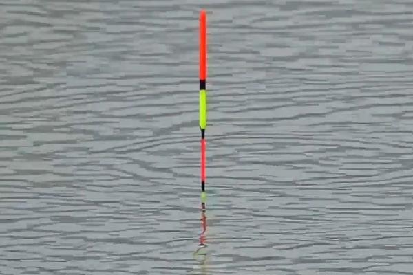 钓鲤鱼的方法和技巧，建议用4.5-5.4米的鱼竿