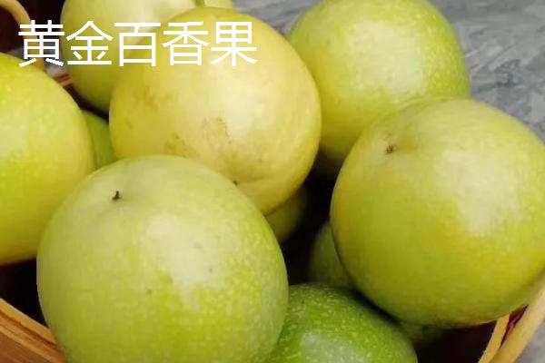 百香果属于热性还是凉性水果，二者皆不属于而是平性水果