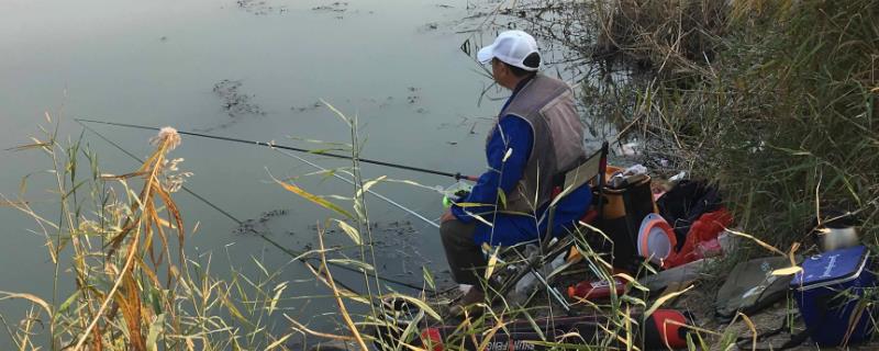 野钓适合用什么鱼竿，主要取决于钓法