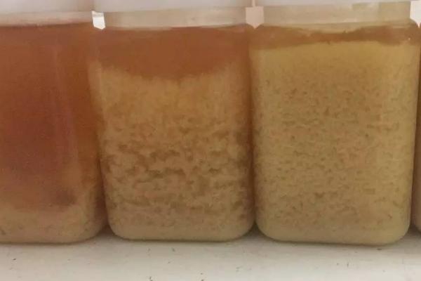 暴晒蜂蜜结晶是否会融化，晒后一般可恢复成液体状