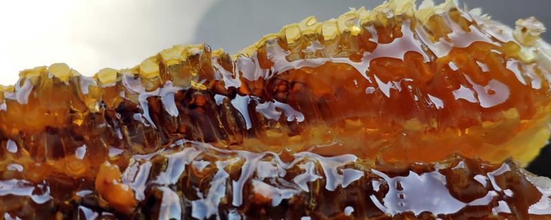 变质的蜂蜜是什么样，蜂蜜中会出现大量气泡并且质地会变稀