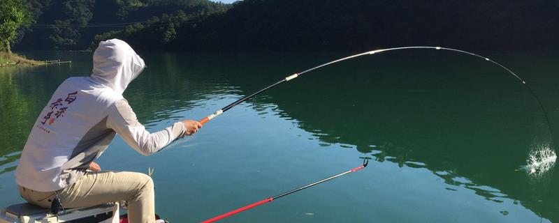 白天钓鲶鱼要钓深还是钓浅，钓深水一般会更合适