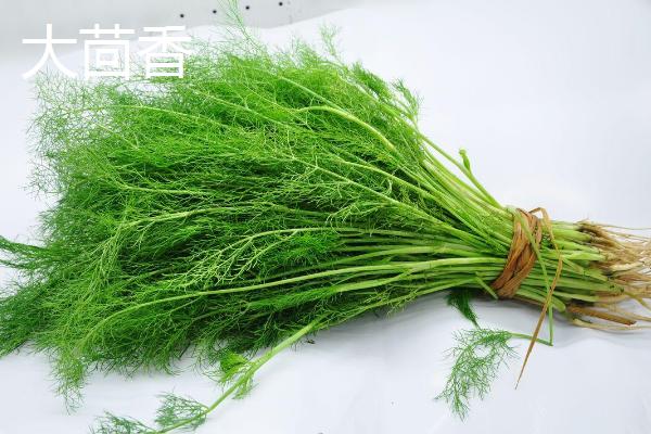 大茴香和小茴香有什么区别，大茴香具有八个角