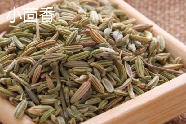 大茴香和小茴香有什么区别，大茴香具有八个角