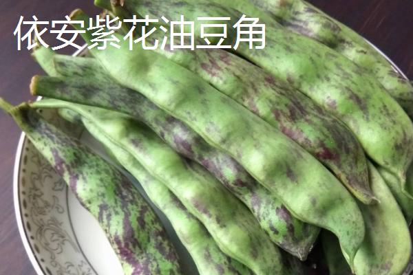 黑龙江省依安县的特产，包括依安紫花油豆角、依安甜菜等种类