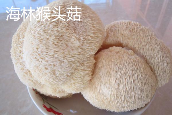 黑龙江省依安县的特产，包括依安紫花油豆角、依安甜菜等种类