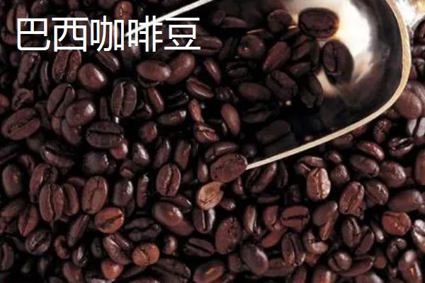 咖啡豆的种类，口感均不同