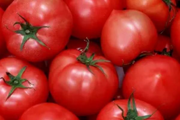 番茄为什么叫西红柿，是在明朝时期就有的名字