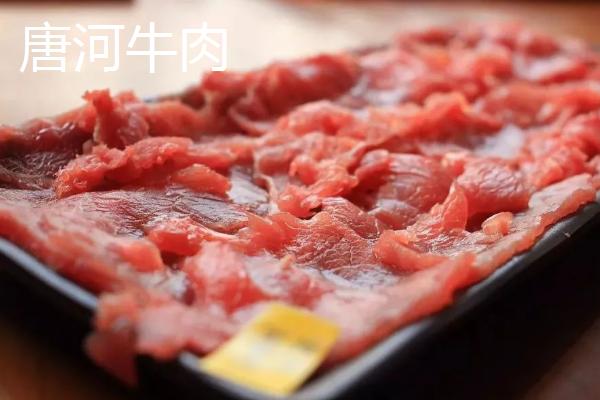 河南唐河县的特产，栀子品质上乘