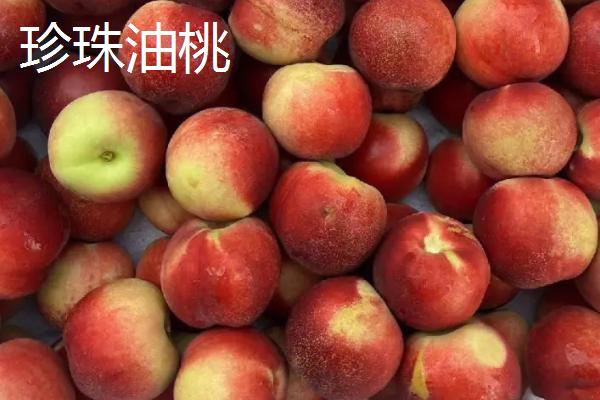 好吃的油桃品种，世纪之星果肉金黄、口感清脆甜美