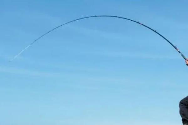 钓黑鱼使用的线组，不宜用调性过硬的竿