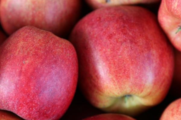 好吃的十大苹果品种，口感和甜度均不同