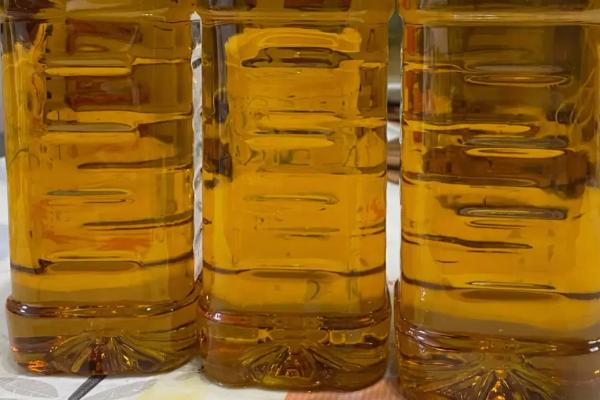 世界公认的三大健康油种，分别为葵花籽油、山茶油、橄榄油