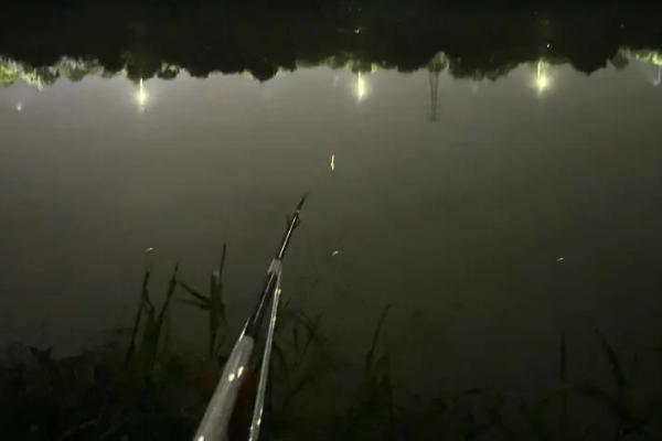 夜钓大鱼开口时间，春季夜钓会在凌晨2-4点开口