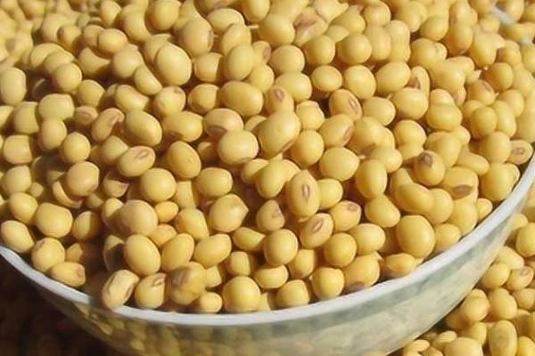 大豆怎么保存不生虫，冷冻保存不再生虫