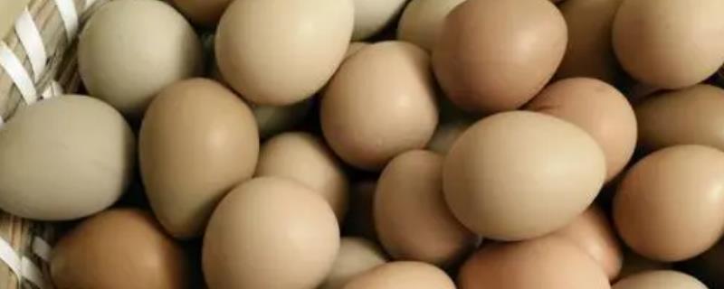 什么叫虫草鸡蛋，就是指土鸡蛋