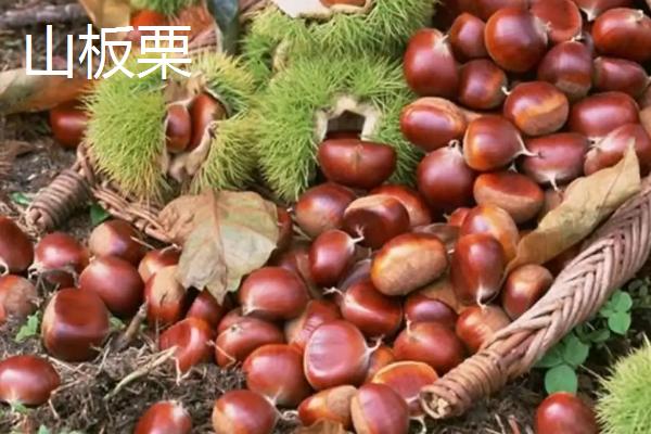黑龙江省绥滨县的特产，黑垦二九〇红小豆是全国农产品地理标志