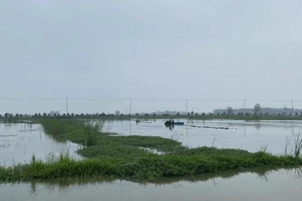 下雨天虾塘能不能补钙，雨天补钙会增加虾的负担