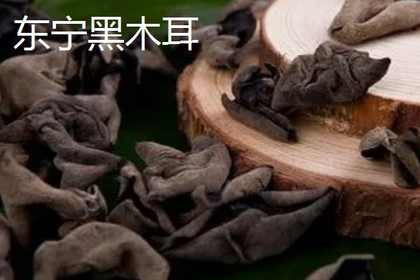 黑龙江佳木斯市的特产，包括力佳风干肠、抱马子茶叶筒等种类
