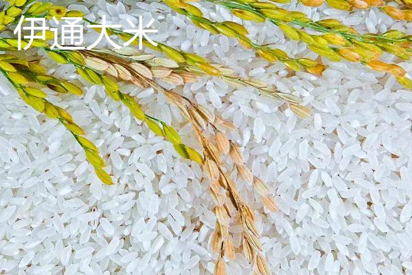 吉林省伊通满族自治县的特产，伊通大米在国内具有较高的知名度