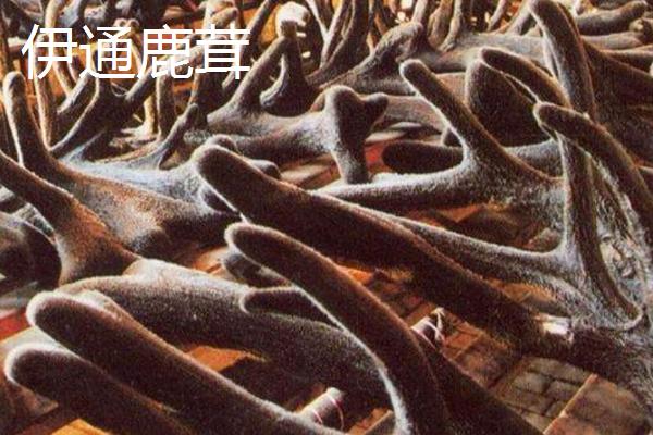 吉林省伊通满族自治县的特产，伊通大米在国内具有较高的知名度