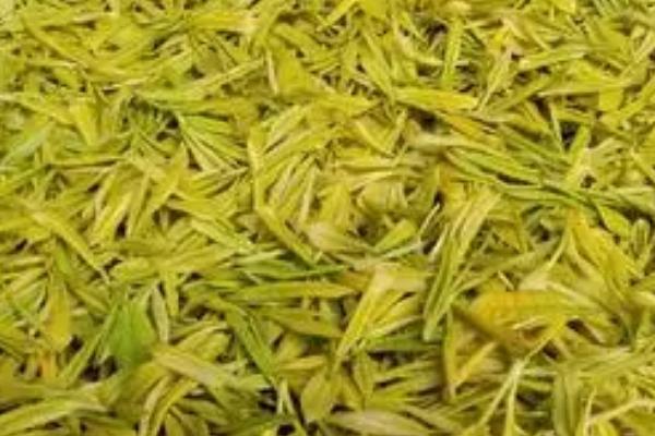 黄金茶的价格，具体售价受到产地、茶叶等级的影响