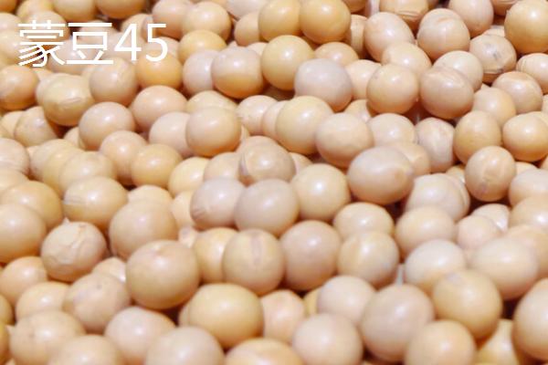 内蒙古大豆品种，常见的有这8种