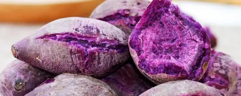 紫薯和红薯有什么区别，紫薯味甜、红薯味淡