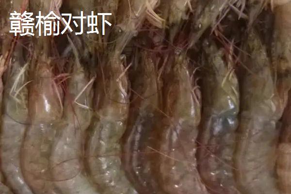 江苏连云港的特产，紫菜为当地主要出口产品之一