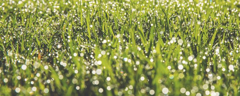 谷雨节气的来源，天上降雨谷物才能生长、因此称为谷雨