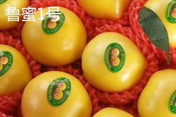 中国有哪四大桃乡，奉化水蜜桃被誉为中国之最