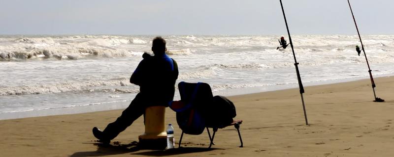 垂钓青鱼的适宜时间，4-6月份、8-11月份均为最佳垂钓期