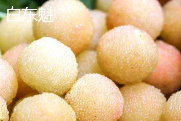 白杨梅有哪些品种，包括水晶杨梅、胭脂白、白东魁等品种