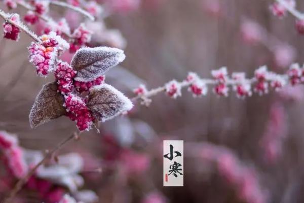 小寒节气有哪些活动，各地风俗不一