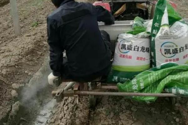秋施底肥的方法，底肥的施用数量需考虑土壤肥力