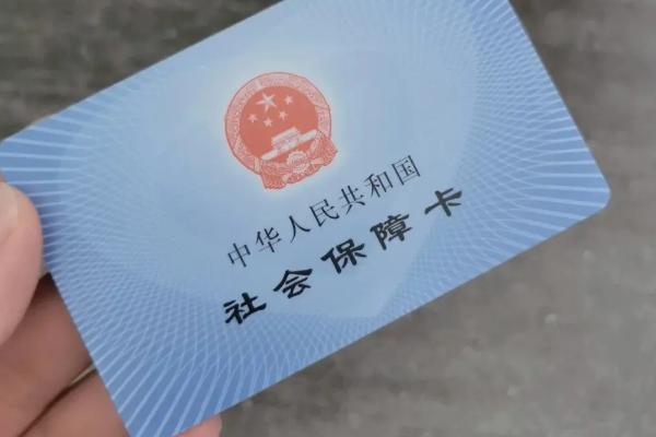 农民怎么查询社保缴纳状态，可拨打12333按提示操作