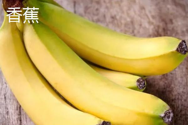 芭蕉是香蕉吗