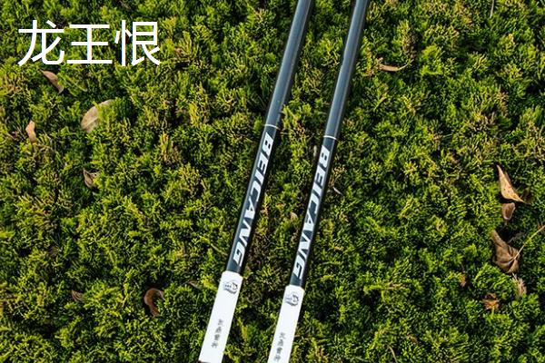 十大入门鱼竿品牌推荐，新手一般不建议买太贵的鱼竿