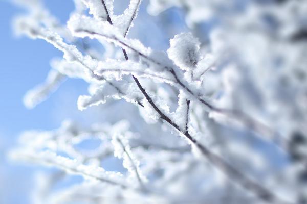 小雪节气与天气预报中的小雪有什么区别，天气预报中的小雪是指降雪强度