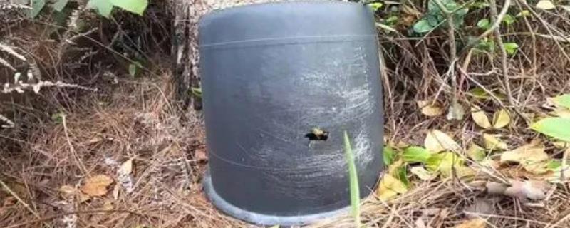 诱蜂桶放在什么位置合适，要满足蜂群、蜜源和筑巢条件
