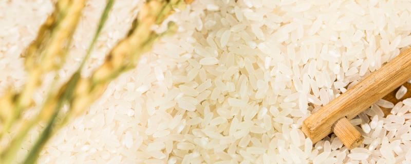 有机大米与绿色大米的区别，前者生产期间禁止使用农药、后者可使用限定的化学合成物质
